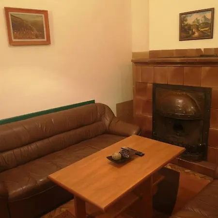 Fireplace In The Heart Of Appartement Sofia