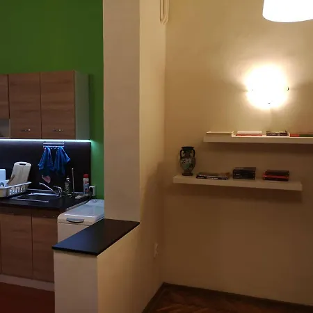 Fireplace In The Heart Of Appartement *